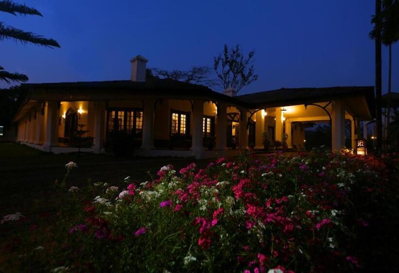 Resort Parisons Plantation Experiences By Abad