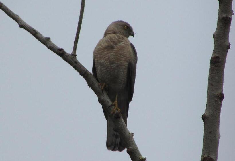 Resort Parisons Plantation Experiences By Abad