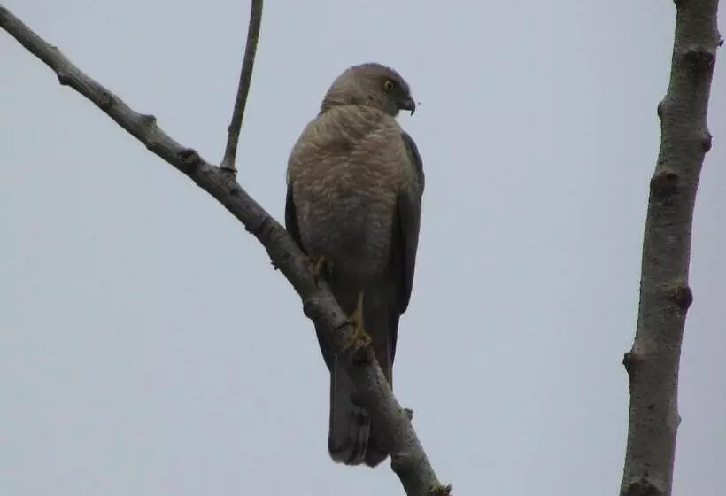 リゾートホテル Parisons Plantation Experiences By Abad