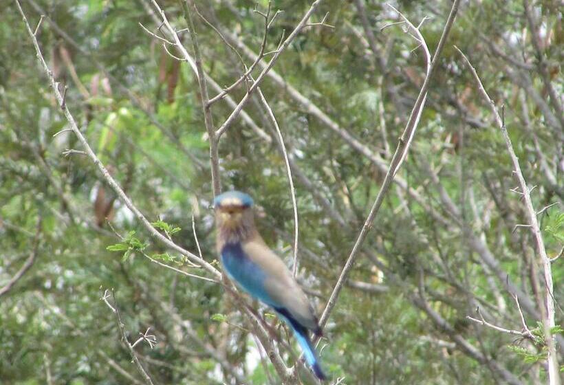 Resort Parisons Plantation Experiences By Abad