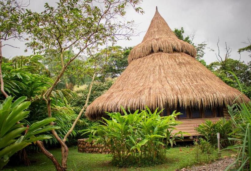 호스텔 Ecolodge Cosmogénesis