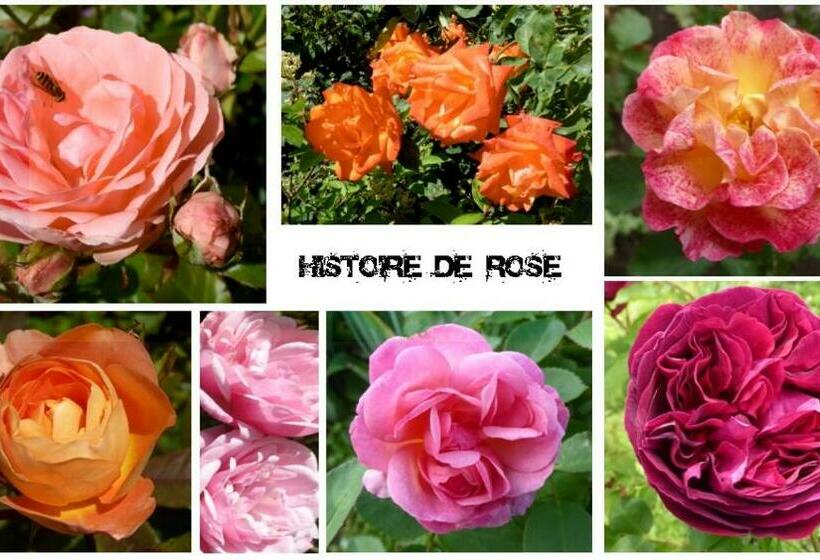 Au Rendez Vous De L Auxois B&b