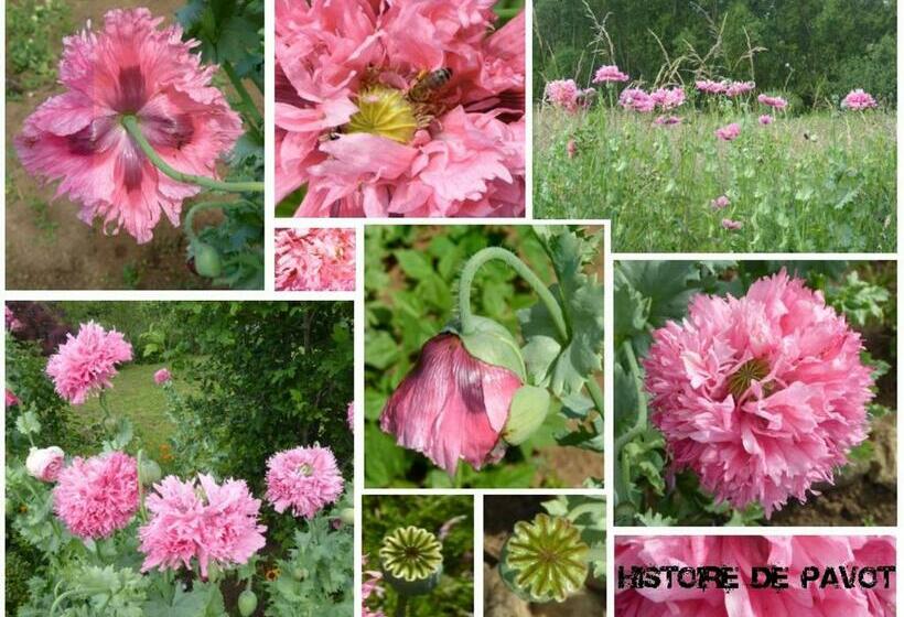 Au Rendez Vous De L Auxois B&b