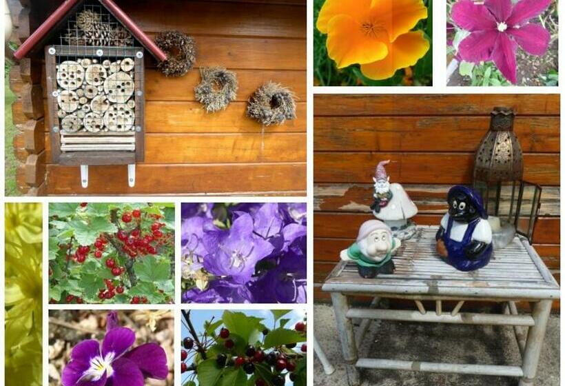 Au Rendez Vous De L Auxois B&b