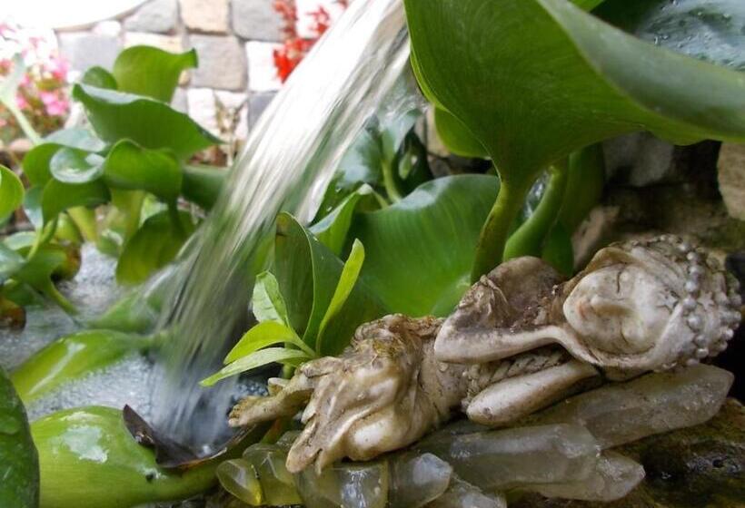 B&b Il Giardino Acquatico