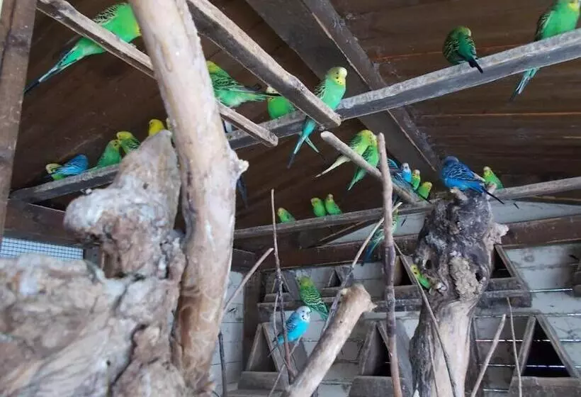 B&b Il Giardino Acquatico