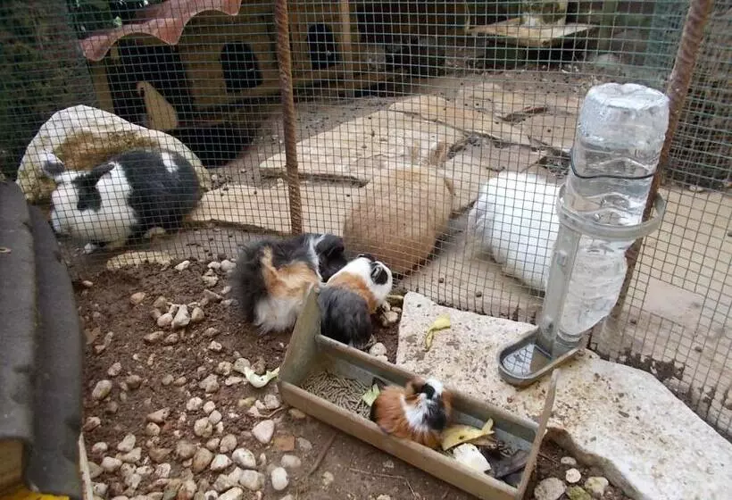 B&b Il Giardino Acquatico