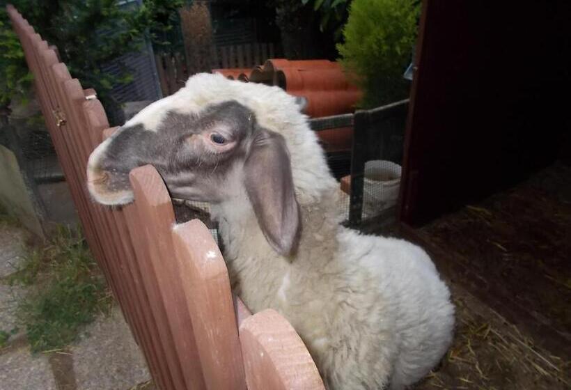 B&b Il Giardino Acquatico