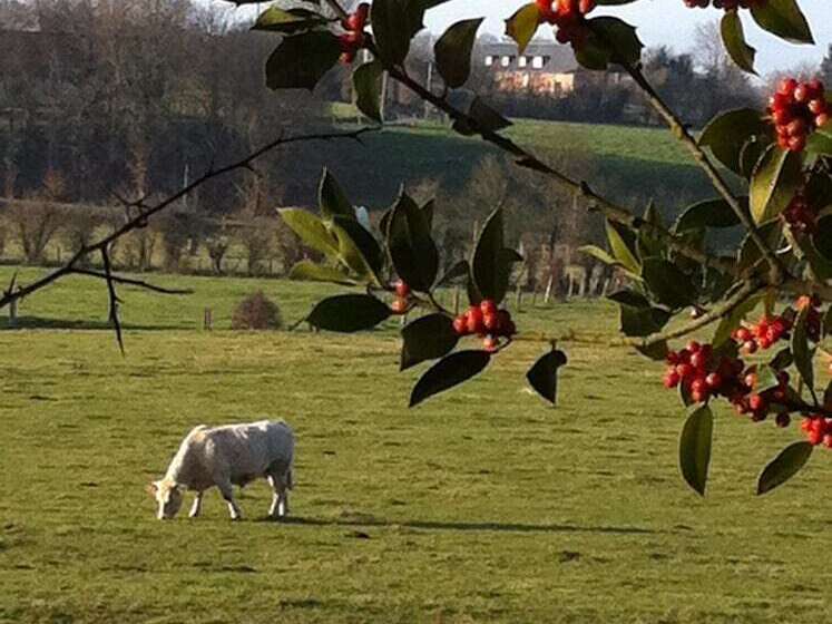 Bed and Breakfast Chateau Du Mesnil