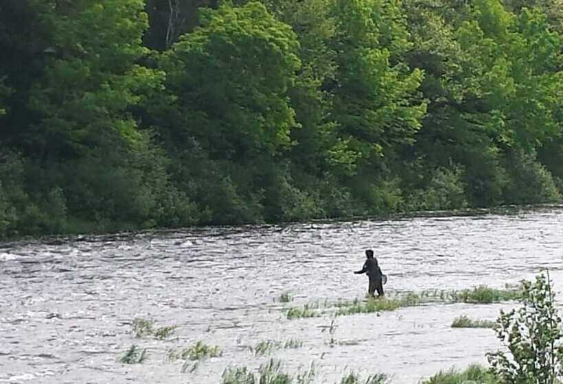 Bed and Breakfast Deer Mountain Lodge & Wilderness Resort