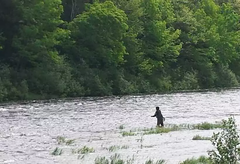 Aamiaismajoitus (B&B) Deer Mountain Lodge & Wilderness Resort