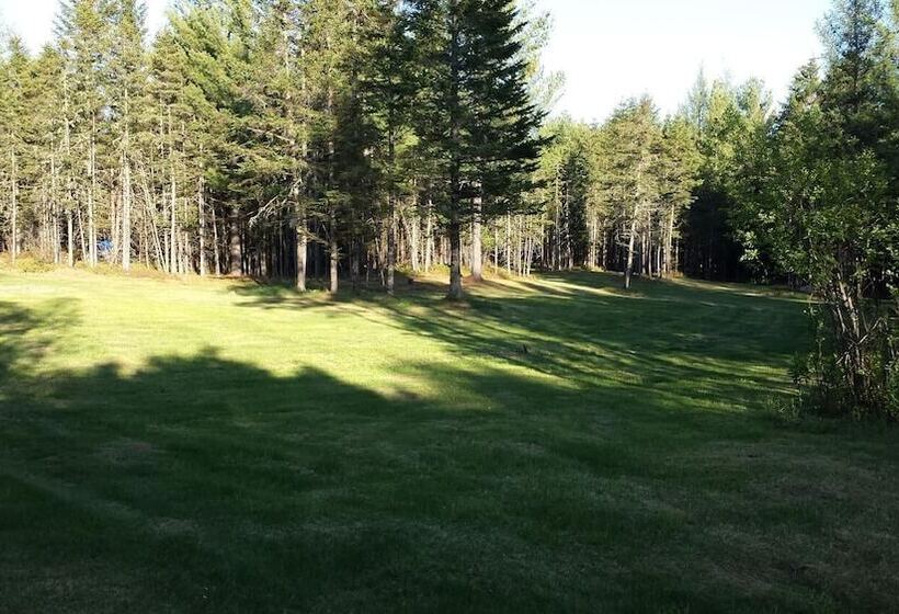 Bed and Breakfast Deer Mountain Lodge & Wilderness Resort