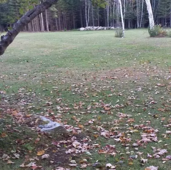 Aamiaismajoitus (B&B) Deer Mountain Lodge & Wilderness Resort