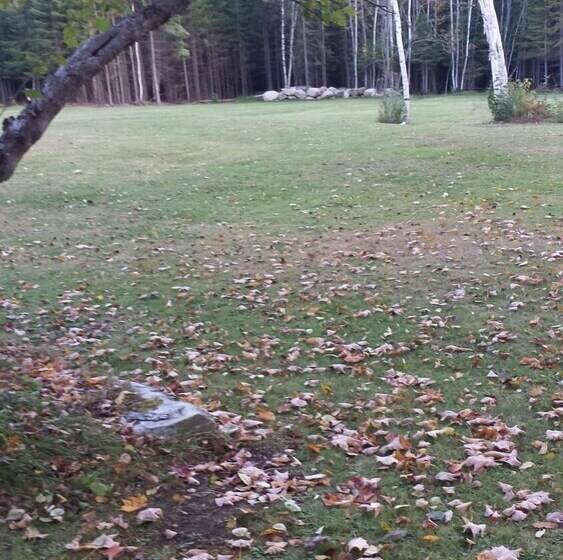 Bed and Breakfast Deer Mountain Lodge & Wilderness Resort