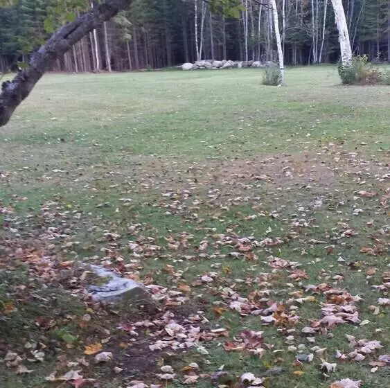 Aamiaismajoitus (B&B) Deer Mountain Lodge & Wilderness Resort