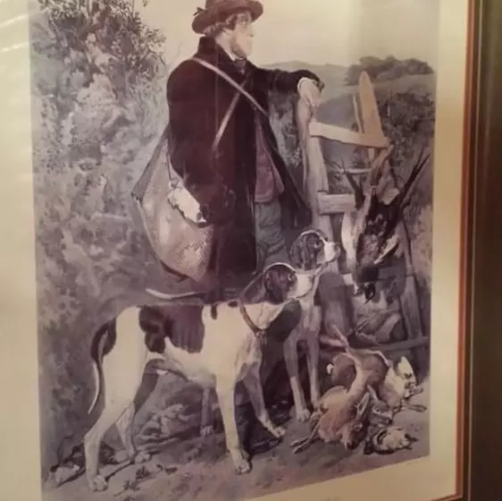 Aamiaismajoitus (B&B) Deer Mountain Lodge & Wilderness Resort