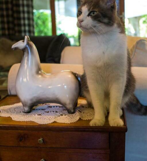 צימר Haras Picard Du Sant