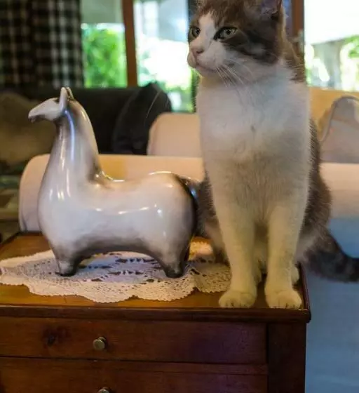 ベッドアンドブレックファースト Haras Picard Du Sant