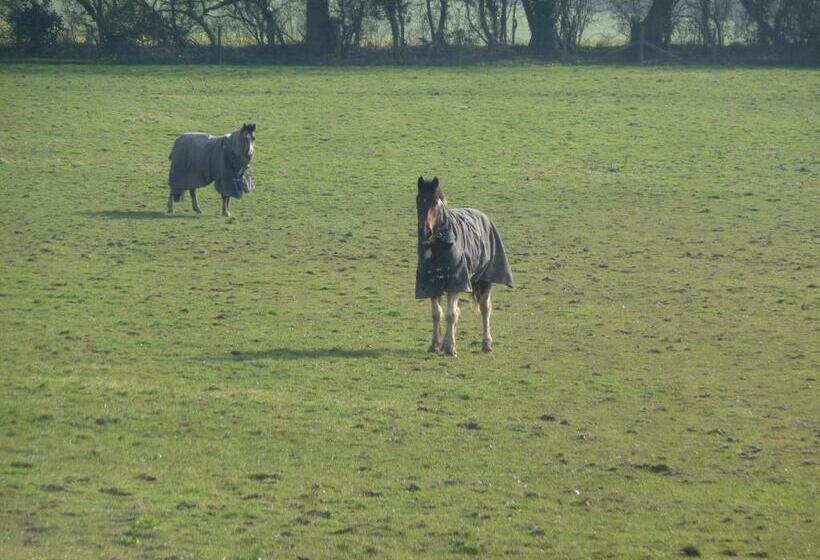مبيت وإفطار Ivy Hall
