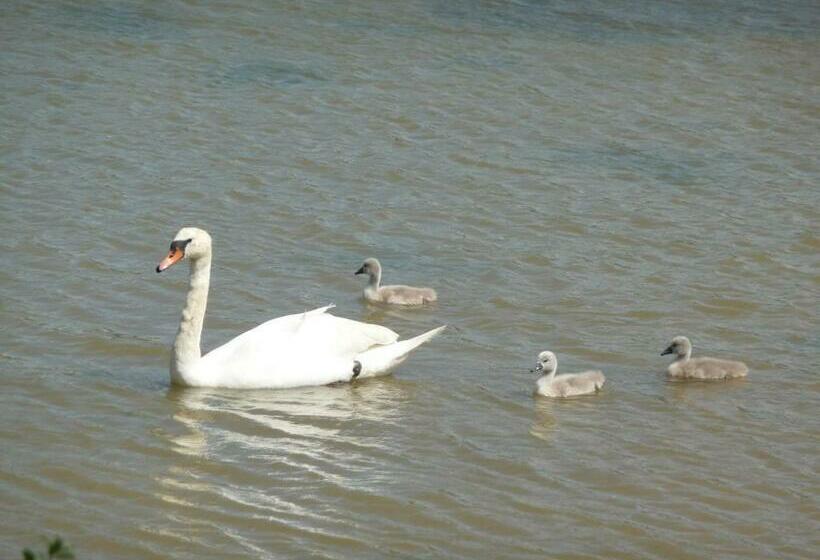 مبيت وإفطار Ivy Hall