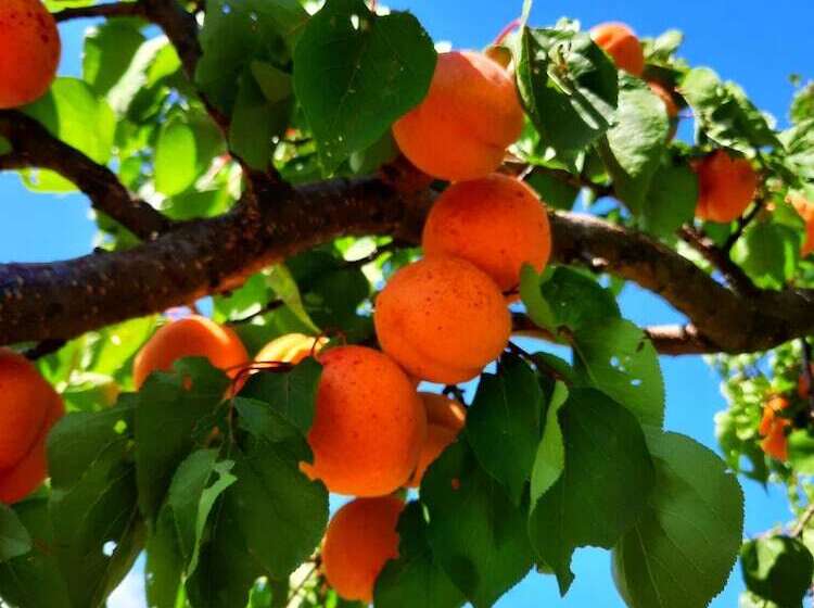 مبيت وإفطار L Echappée Trémoussante