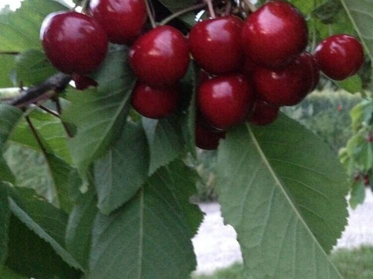 مبيت وإفطار L Echappée Trémoussante