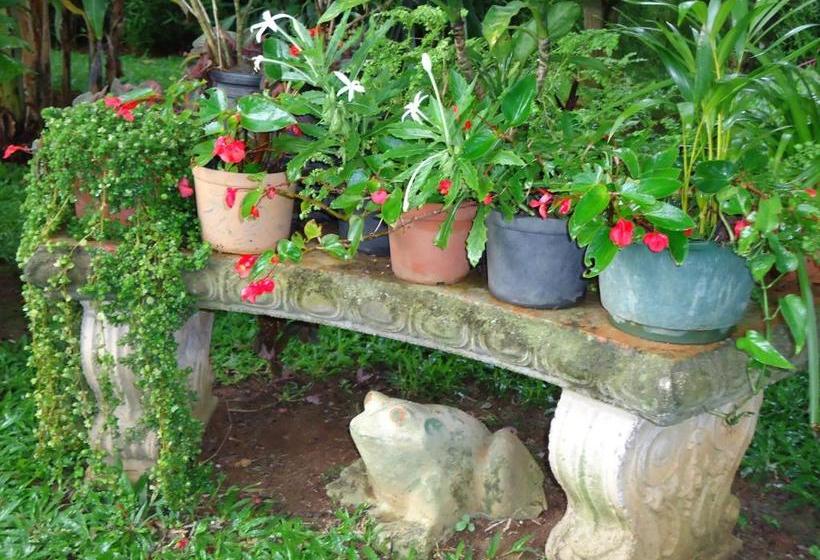 مبيت وإفطار Quinta Don Fernando