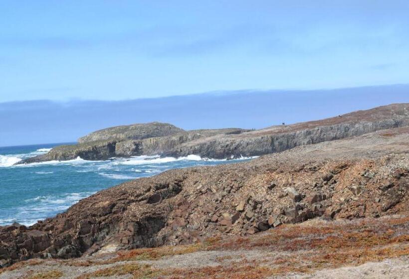 Bird Island B&b Bed And Bubble