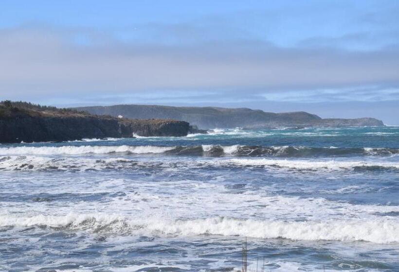 Bird Island B&b Bed And Bubble