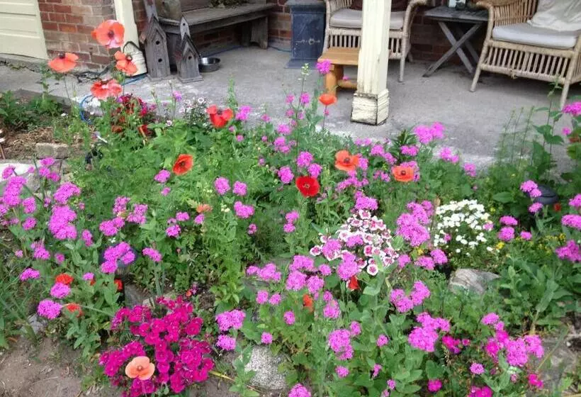 Foxingham Farm Bed & Breakfast