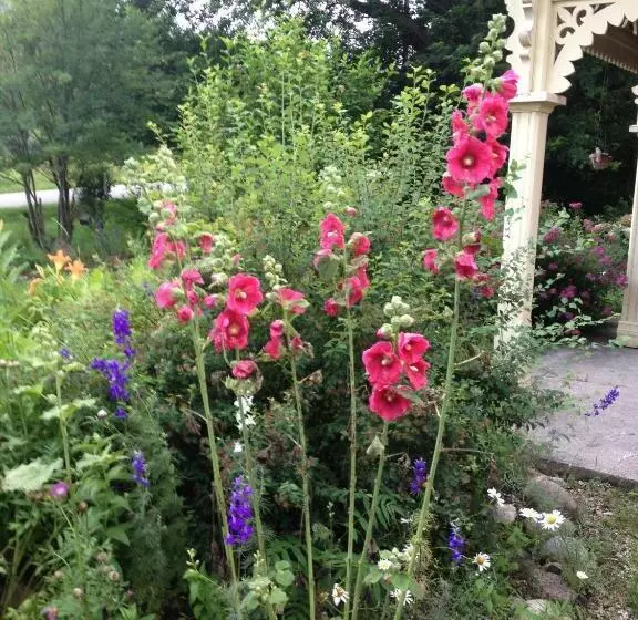 Foxingham Farm Bed & Breakfast