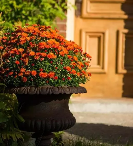 Foxingham Farm Bed & Breakfast