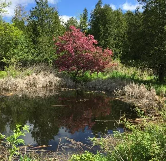 Foxingham Farm Bed & Breakfast