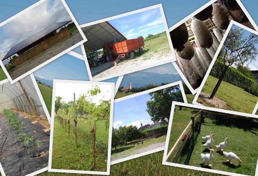 호텔 Agriturismo Borgovecchio