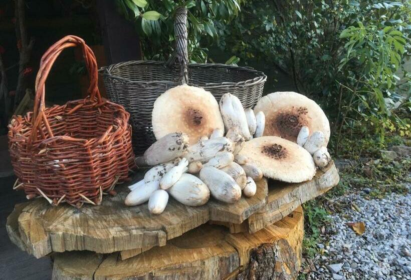 Отель Agriturismo Il Mulino