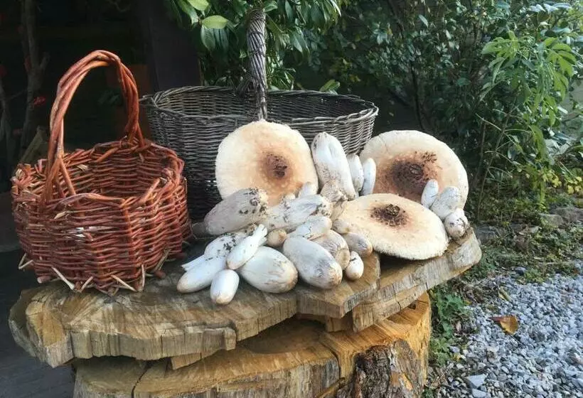 ホテル Agriturismo Il Mulino