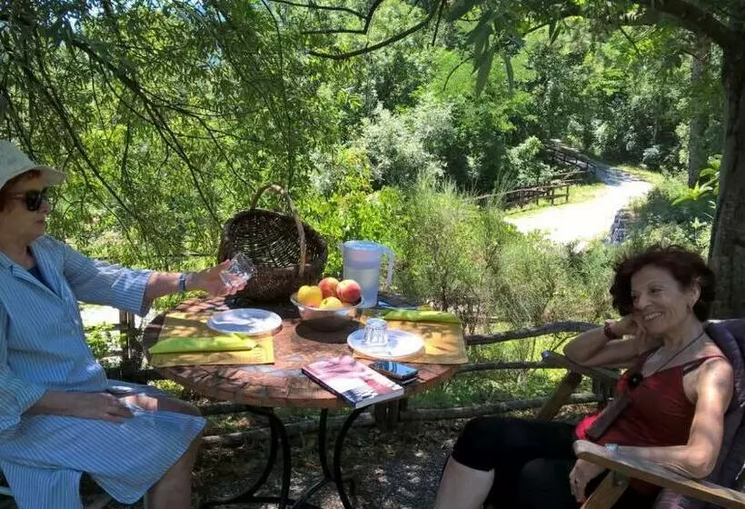 ホテル Agriturismo Il Mulino