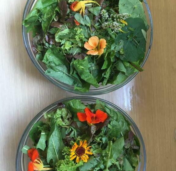 Отель Agriturismo Il Mulino