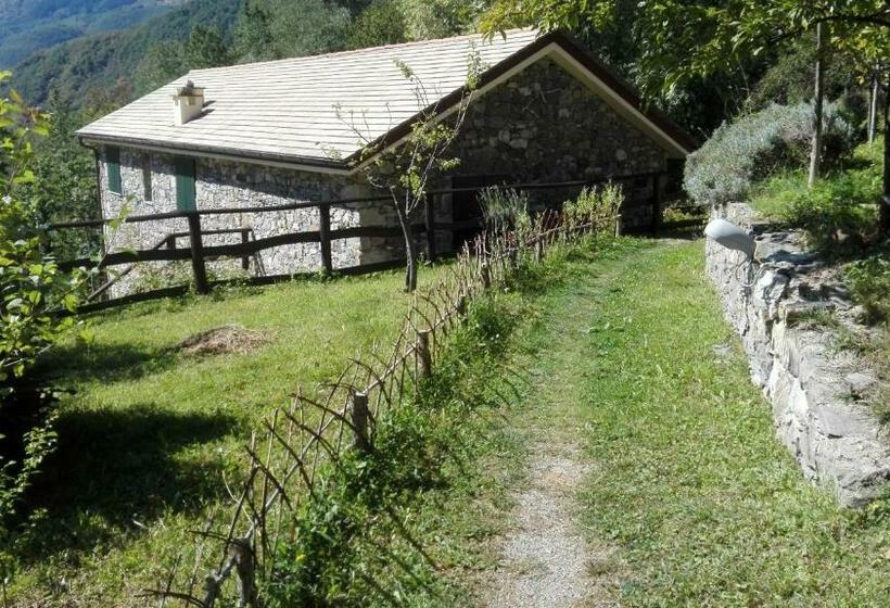 Отель Agriturismo Il Mulino