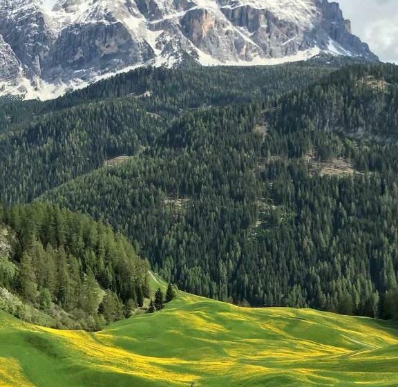 Отель Agriturismo Tolpei