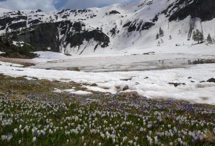 호텔 Albergo Al Tempo Perduto