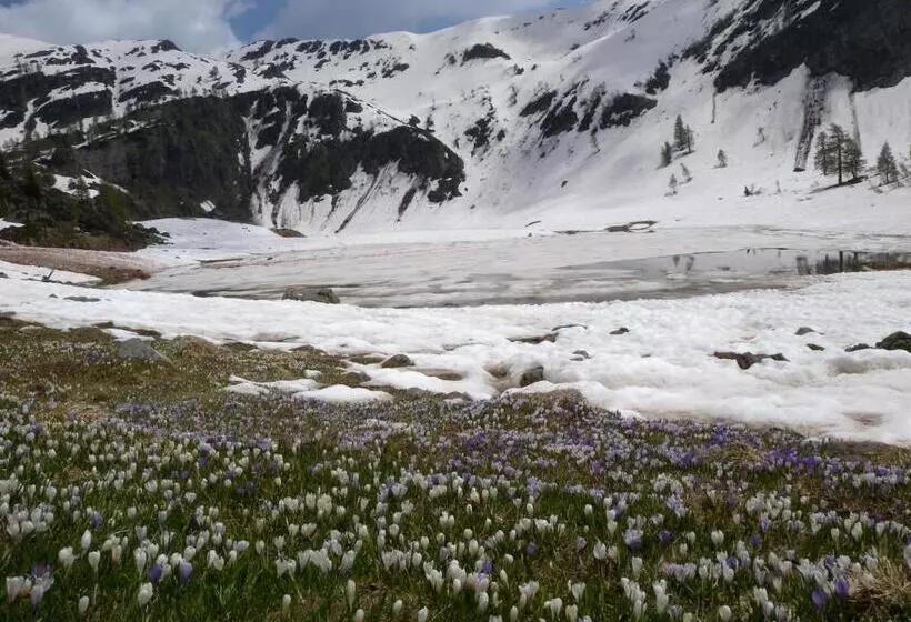 Hotelli Albergo Al Tempo Perduto