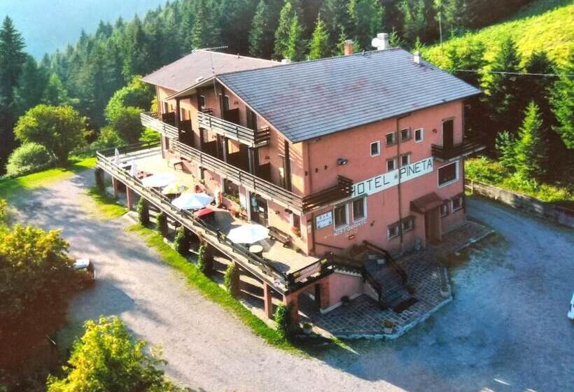 ホテル Albergo Ristorante Pineta