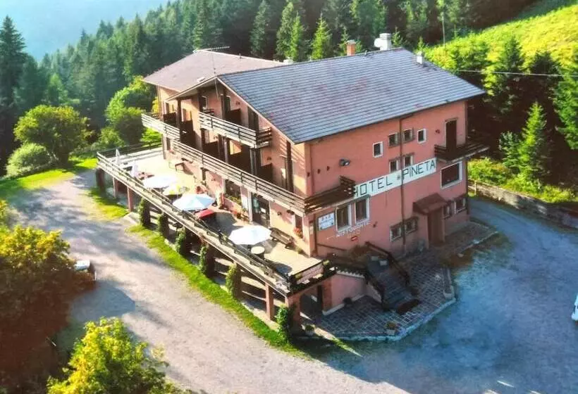 ホテル Albergo Ristorante Pineta