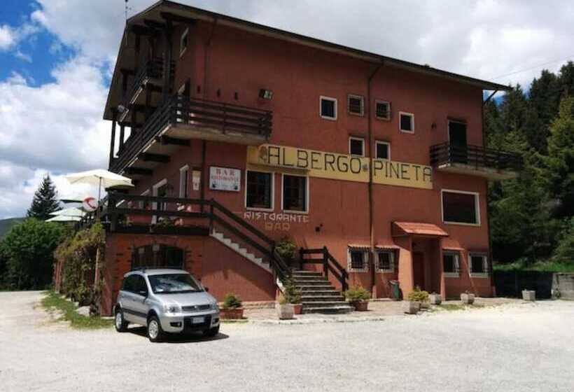 ホテル Albergo Ristorante Pineta