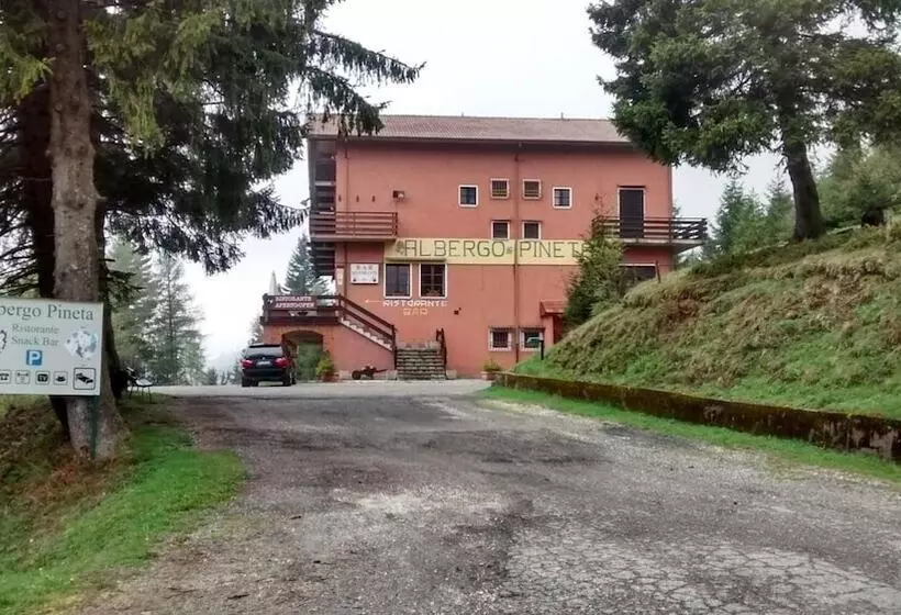 ホテル Albergo Ristorante Pineta