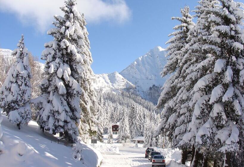 ホテル Albergo Ristorante Pineta