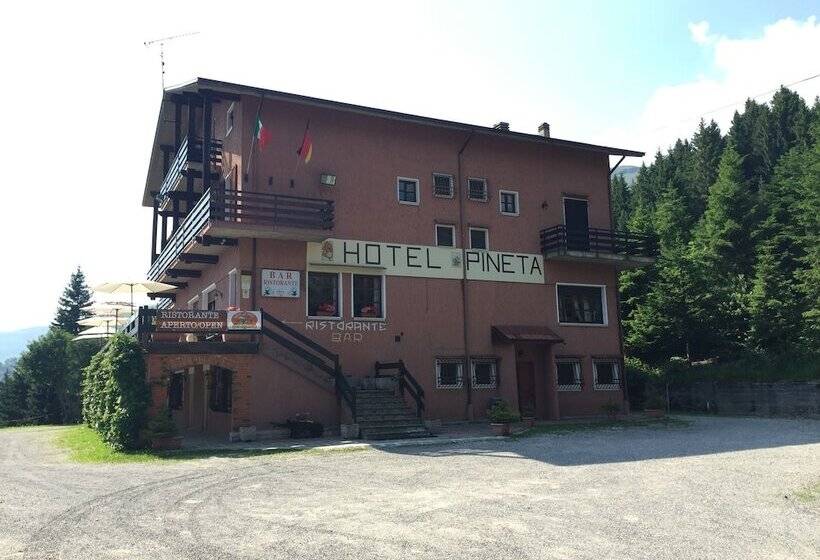 ホテル Albergo Ristorante Pineta