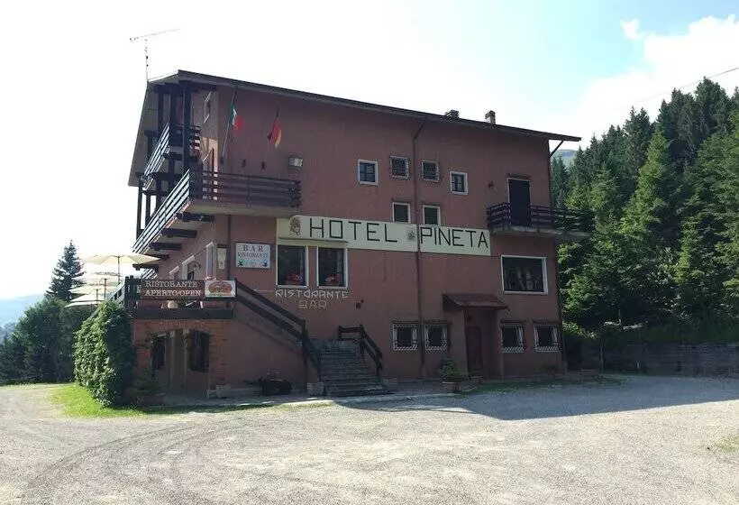 ホテル Albergo Ristorante Pineta