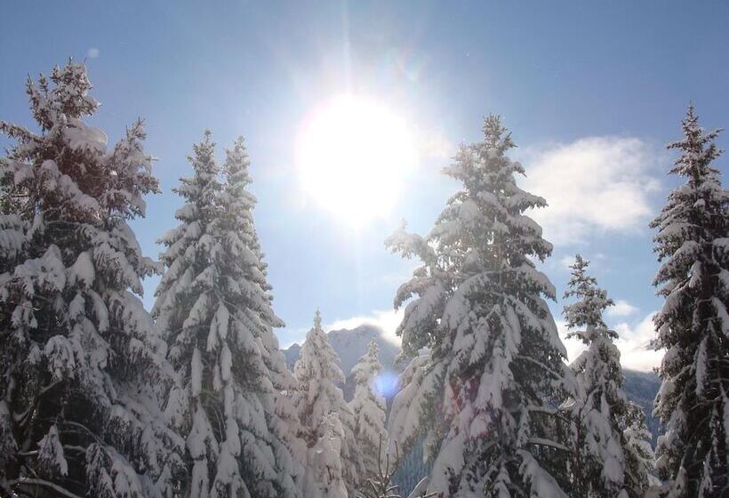 ホテル Albergo Ristorante Pineta